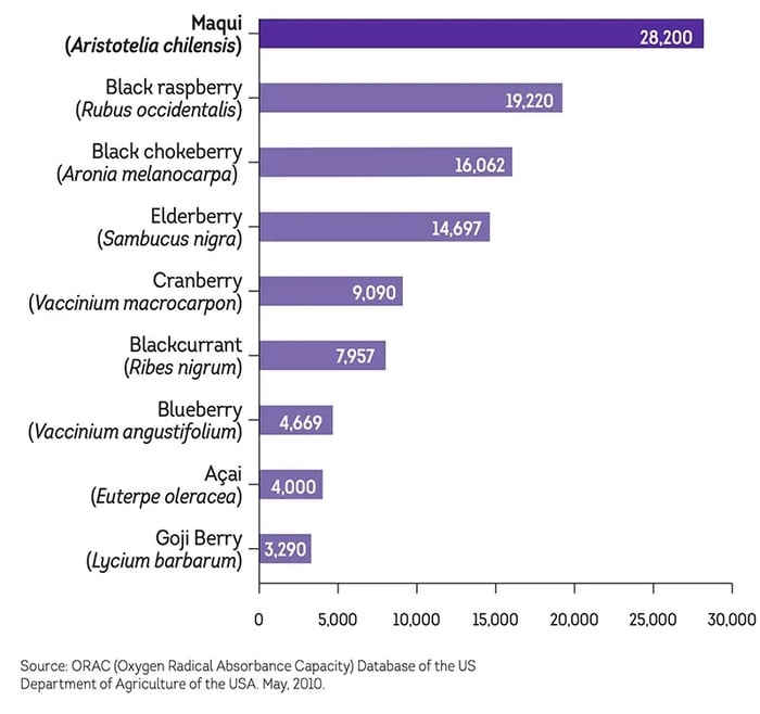 ORAC value comparison chart — Maqui berry leads all superfruits at 28,200 μmol TE/100g