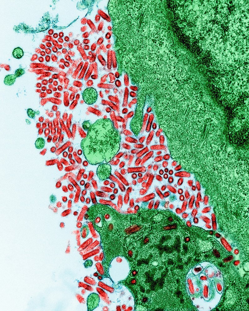 Proven Results Futerpenol